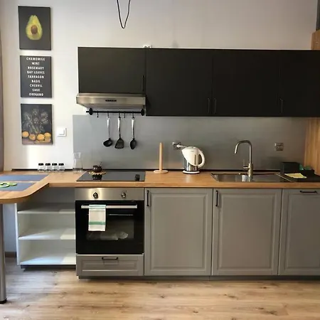 Przytulny W Samym Centrum Katowic