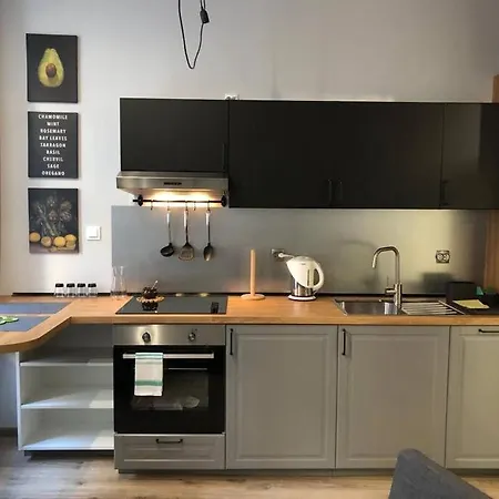 Apartament Przytulny W Samym Centrum Katowic *