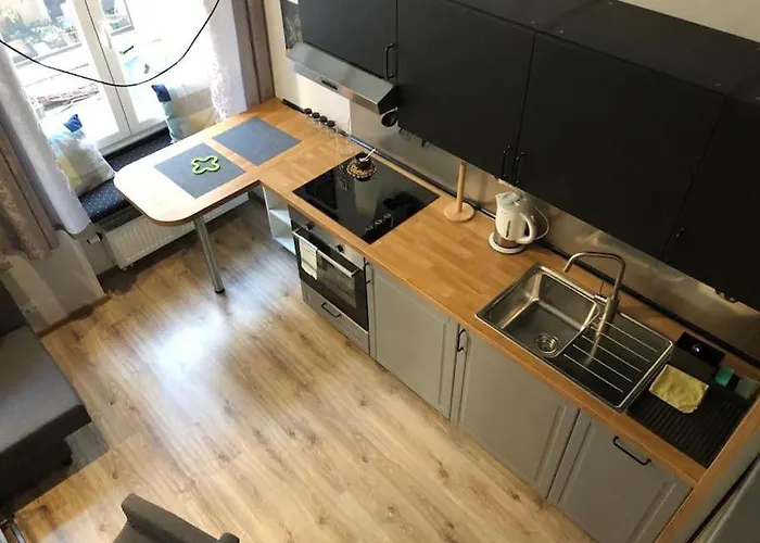 Przytulny W Samym Centrum Katowic *