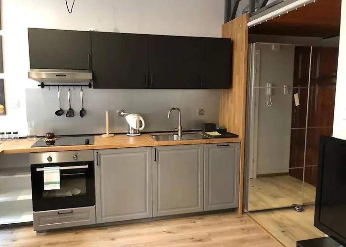 Przytulny W Samym Centrum Katowic Apartament Katowice