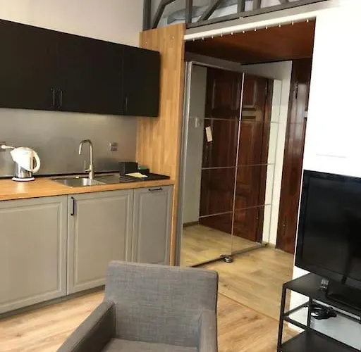 Przytulny W Samym Centrum Katowic Apartament