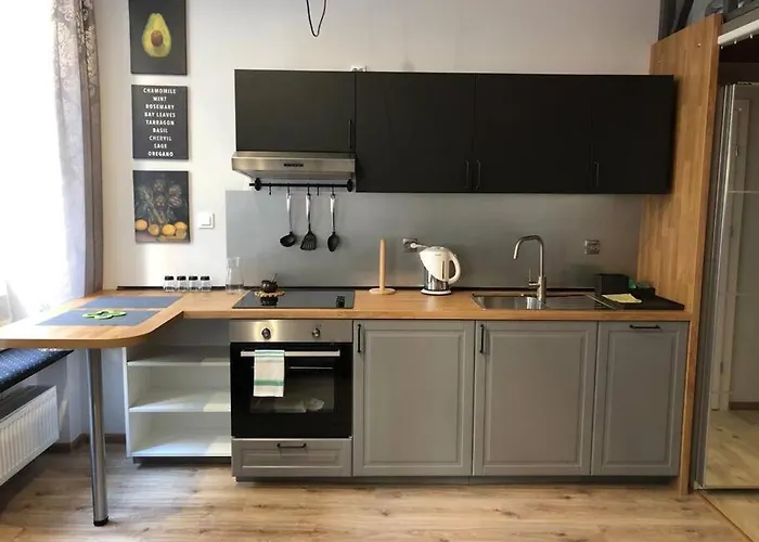 Przytulny W Samym Centrum Katowic