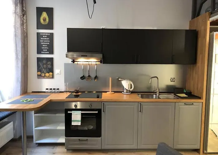 Apartament Przytulny W Samym Centrum Katowic *